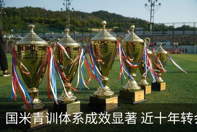 国米青训体系成效显著 近十年转会收入达2.35亿欧元